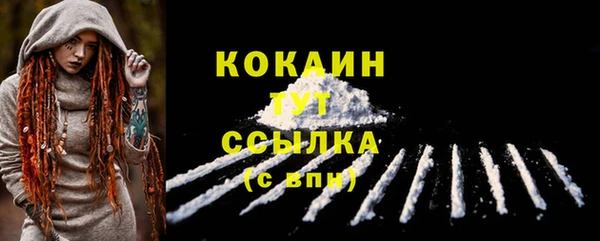 spice Алзамай
