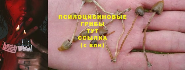spice Алзамай