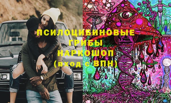spice Алзамай